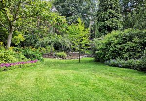 Optimiser l'expérience du jardin à Le Mesnil-Vigot